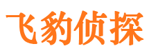 舟山找人公司